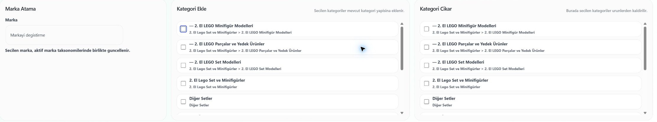 Hobilego panelindeki ilgili alan. Mağazaya ait özel rakamlar ve kayıt ayrıntıları gerektiği yerlerde gizlenmiştir.