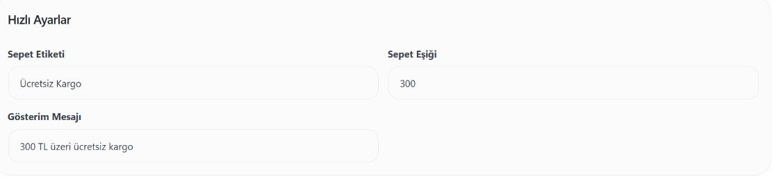Hobilego panelinde bu kampanyanın hızlı ayar alanları. Görseldeki değerler örnektir.