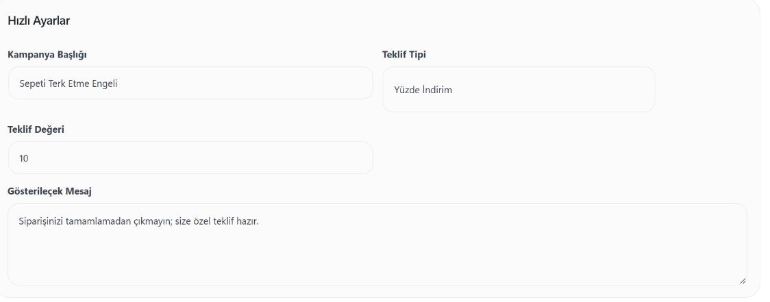 Hobilego panelinde bu kampanyanın hızlı ayar alanları. Görseldeki değerler örnektir.